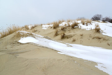Snow on the dunes of the Curonian Spit. Kaliningrad region
