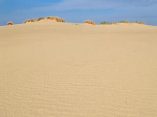 Endless sands of the Curonian Spit. Kaliningrad region
