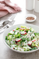 Fresh vegetable salad of green lettuce, radish and cucumber with dill, green onions and greek yogurt