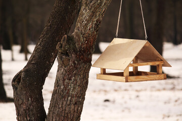 handmade small wooden bird house feeder in the park on the tree for feeding wild birds, winter...