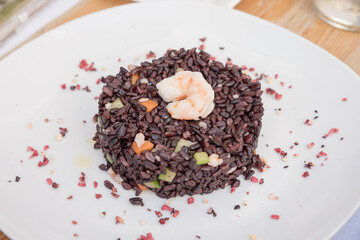 Trani Puglia streets buildings