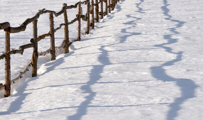 Wooden fence in village on sunny winter day