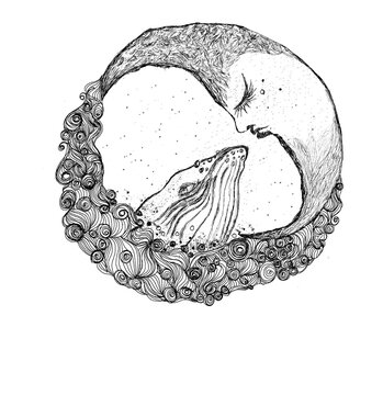 Monochrome picture by hand drawn technique with black ink on white paper. Conceptual line art show abstract and vintage picture &ldquo;The love of the whale and the moon&rdquo; picture of the close-up of the whal