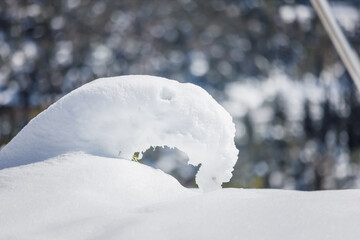 Snow shape