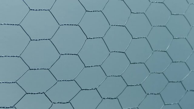 Chicken Wire Outside Moving Shot