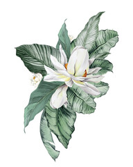 Boho tropical clipart, White magnolia floral borders. Tropical wedding borders clipart, Mothers day card diy, Baby shower, logo design