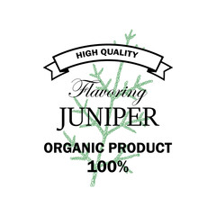 Juniper flavoring logo with hand drawn element isolated on white background. Vector illustration in vintage style
