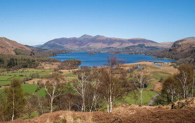 Lake view with blue skies in summer 1269