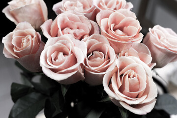 Rich bunch of pink peonies and lilac eustoma roses flowers, green leaf in glass vase. Fresh spring bouquet