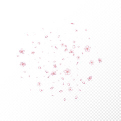 Sakura Cherry Blossom Confetti. Blooming Cosmetics Ad Beautiful