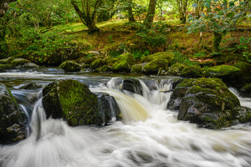 Waterfall in flood 6132