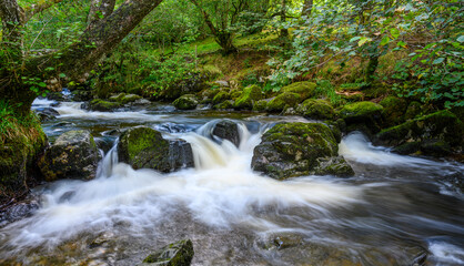 Waterfall in the forest 6127