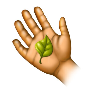 Ecology depends on you like this leaf in hand