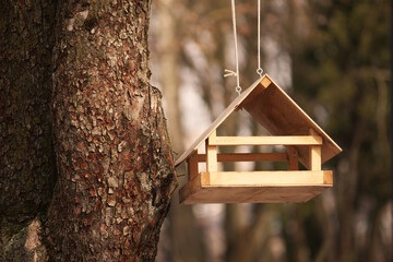 handmade small wooden bird house feeder in the park on the tree for feeding wild birds and squarels 