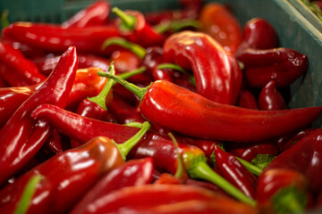 Chiles jalapeño rojo