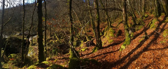 promenade sur Saint-Herbot en Bretagne Finistère France