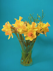 Narzissen in der Vase