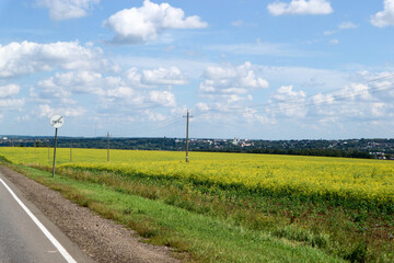 asphalt road in the countryside surroiunded by rapeseed fields in Russia