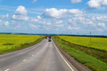 Fototapeta na wymiar asphalt road in the countryside surroiunded by rapeseed fields in Russia