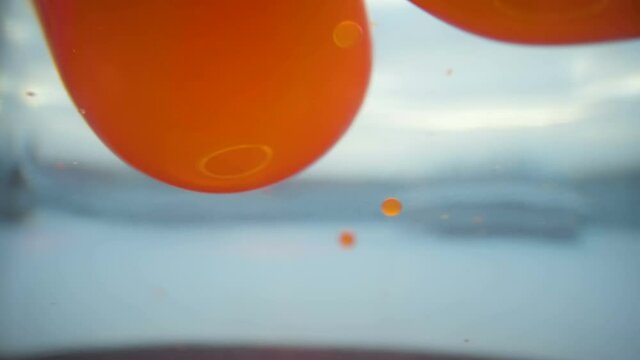 The floating orange bubbles on the water as seen on a closer look in Estonia
