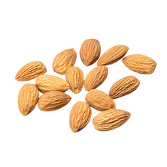 almond nut isolated on white background. prunus dulcis cut out