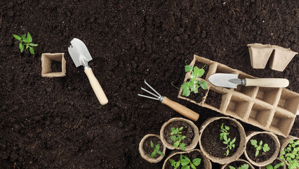 Peat seedlings and garden tools are on the ground. Top view. Copy space.