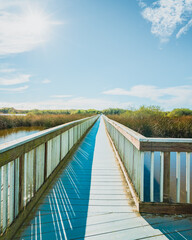 Fototapeta premium Long wooden boardwalk through the Lake. Oso Flaco Lake Natural Area, Oceano, California. Trip through several diverse natural habitats for viewing flora and fauna, vertical banner
