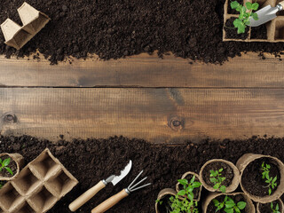 Peat Peat seedlings and garden tools are on the ground. Wooden planks in the middle. Copy space....