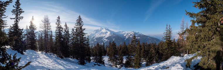 Panorama montagne derrière les sapins
