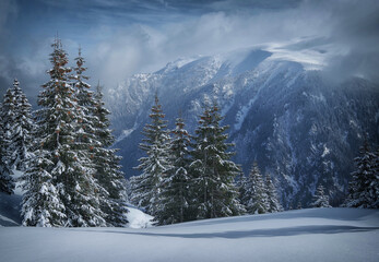 Fototapeta na wymiar Winter in Godeanu Mountains, Carpathians, Romania, Europe