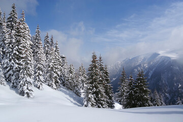 Winter in Godeanu Mountains, Carpathians, Romania, Europe