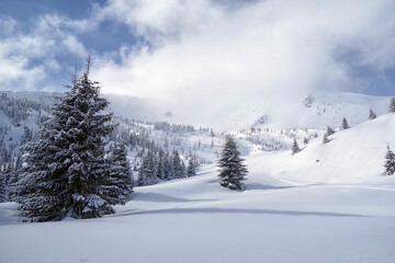 Fototapeta na wymiar Winter in Godeanu Mountains, Carpathians, Romania, Europe