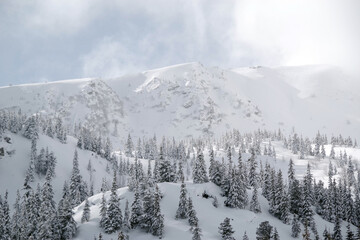 Winter in Godeanu Mountains, Carpathians, Romania, Europe