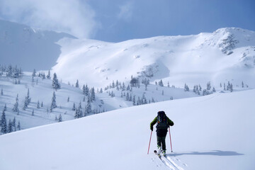 Naklejka na ściany i meble Ski tour in Godeanu Mountains, Carpathians, Romania, Europe