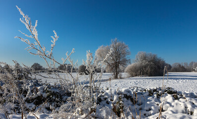 Sachsendorfer Wiesen, Winter, Cottbus, Brandenburg, Germany