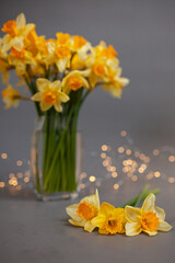 yellow daffodils in vase on a dark background