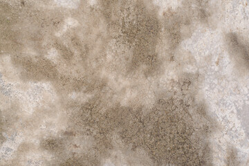 Texture of old gray wet concrete. Wet spots and streaks from water or rain on a concrete background. Close-up of gray grungy texture.
