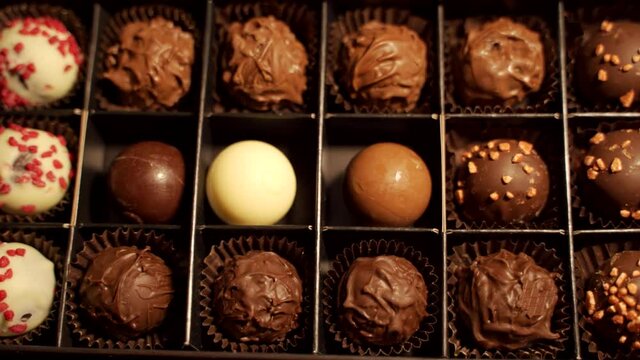 Bunch of different vegan dark and white chocolate truffles balls covered with cocoa powder and different nuts. Close up shot of caramel sweet candies with nuts - log file