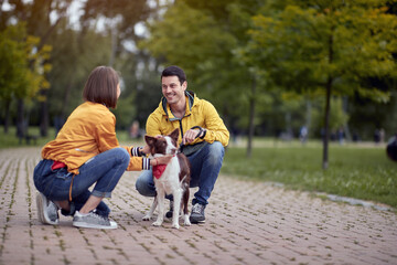 young people getting know each other by talking about pets in autumn park