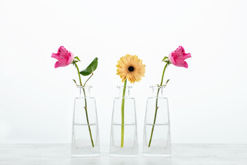 Bottle of essential oil with herbs on white background