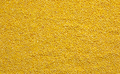 Millet groats closeup. Full frame, top view