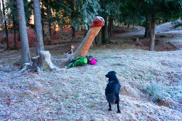 A penis from a log.