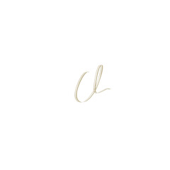 CL handwritten logo for identity