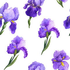 Watercolor irises, irises watercolor, watercolor sketch with flowers, spring irises flowers