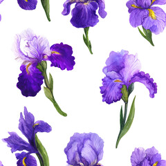 Watercolor irises, irises watercolor, watercolor sketch with flowers, spring irises flowers