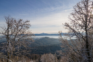 Aerial view of the forest and the peaks of the Carpathian Mountains covered with the snow on a sunny winter day.
Drone flight between the treetops. Tourist directions and routes in Western Ukraine.