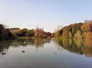 Fototapeta premium vista del laghetto a villa pamphili a roma, in italia