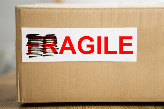 Agile Development Methodology
