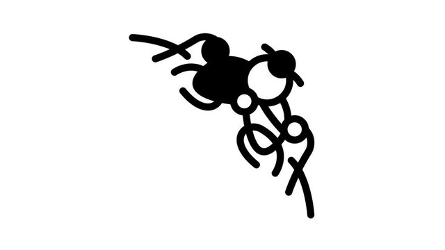 elegant corner black icon animation