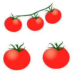 Fresh tomatoes. Natural organic food. Agriculture.